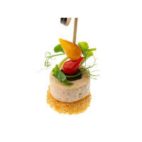 2532. Salmon terrine on a toast